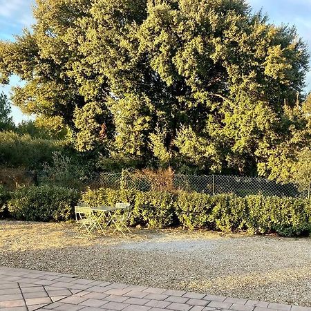 Gite Au Milieux Des Oliviers. Caromb Dış mekan fotoğraf