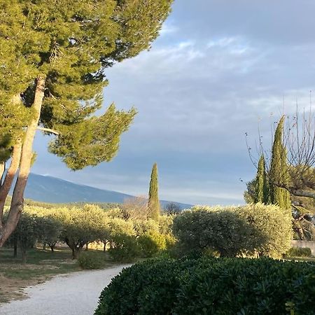 Gite Au Milieux Des Oliviers. Caromb Dış mekan fotoğraf