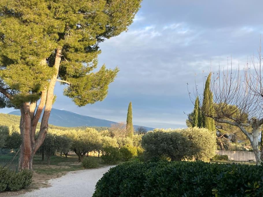 Gite Au Milieux Des Oliviers. Caromb Dış mekan fotoğraf